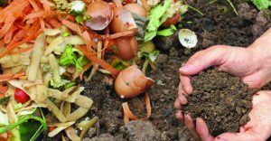 phosphorous compost